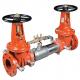 Double Check Detector Assemblies, Stainless Steel - 757DCDA Series
