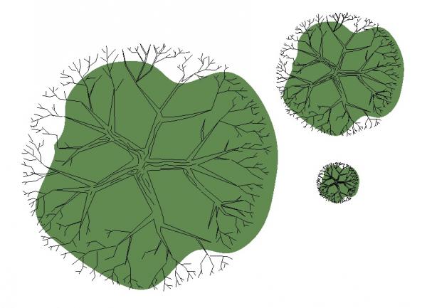 Tree 2d Scalable