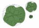 Tree 2d Scalable