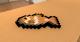 Minecraft fish