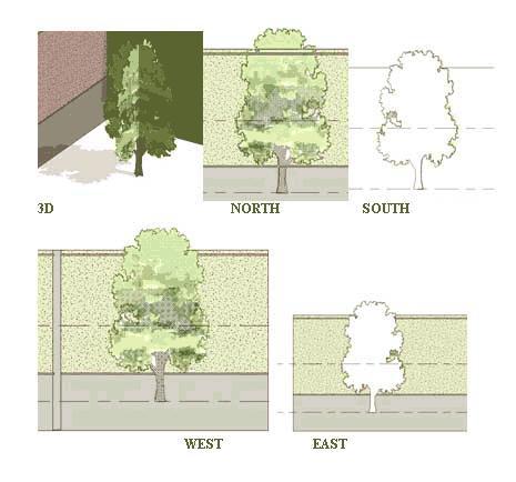 JONATHAN FURLONG'S ADVANCED 3D/2D TRESS