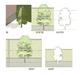 JONATHAN FURLONG'S ADVANCED 3D/2D TRESS