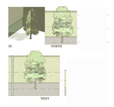 JONATHAN FURLONGS ADVANCED 2D/3D TREE ALL GREEN