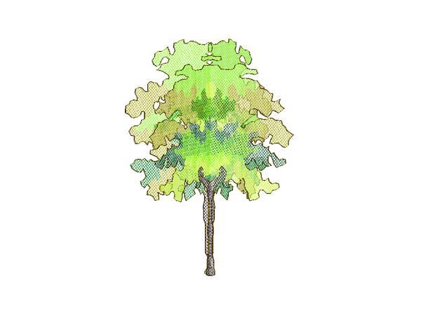 Australian Tree (based on Leopard Tree)