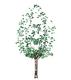 3d Revit Tree 7metres high