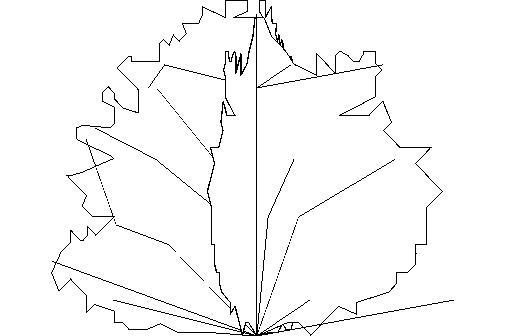 Shrub_2.5'h3'w