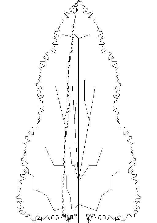 Shrub Evergreen 12' h6'w