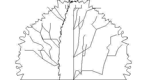 Shrub_4'hx5'w