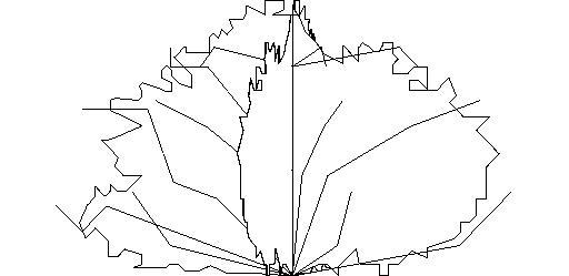 Shrub_2'hx4'w
