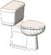ADA Tank Toilet