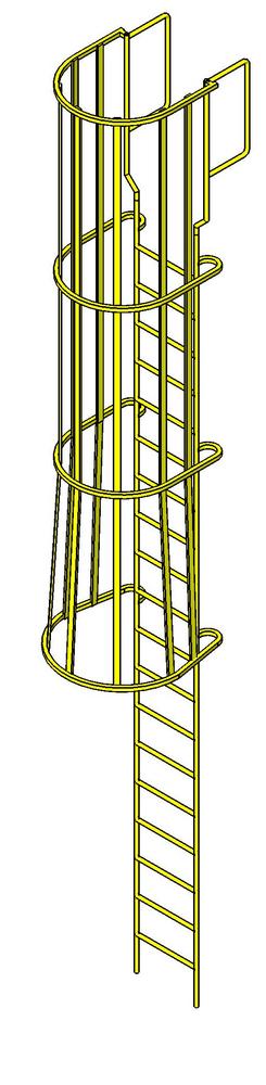 Ladder wiit cage