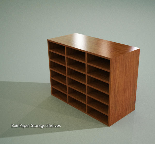 Paper Storage Shelves 3x6 (Casework)
