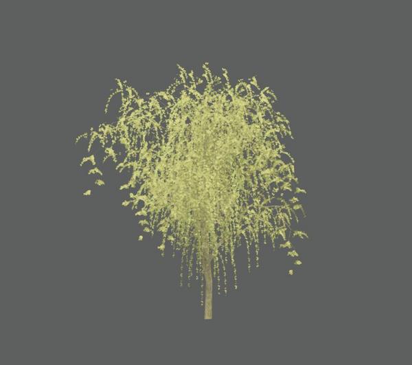 Tree_Deciduous