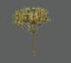 Tree_Tropical
