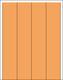 Bifold Door - Flush Panel