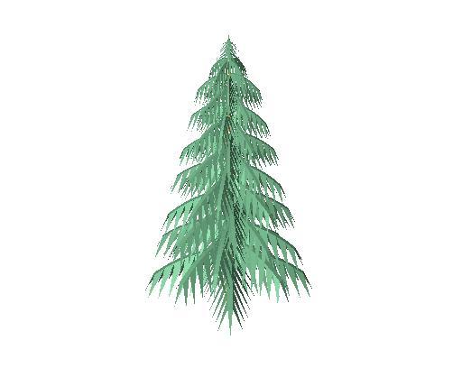 18' Coniferous tree