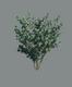 3d tree a_tree49