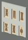 6 doors  u can edit