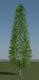 3D Pine