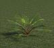3D Plant