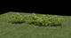 3D plant 2