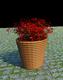 3d_flower indoor/outdoor
