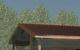 Standing Seam for Metal Roofs