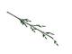 bamboo branch