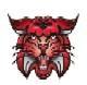wildcat1021 Avatar