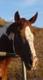 wagnty Avatar