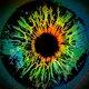 TrippL Avatar