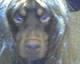 kanne Avatar