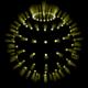 MPV1 Avatar